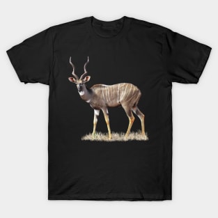 Kudu - Lesser Kudu - Antelope in Africa T-Shirt